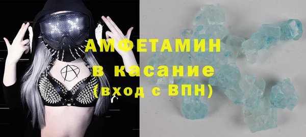 прущие грибы Михайловка