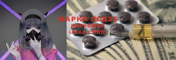 прущие грибы Михайловка