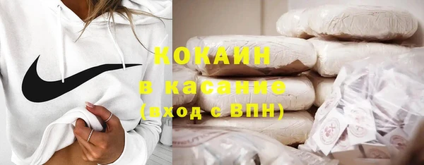 прущие грибы Михайловка