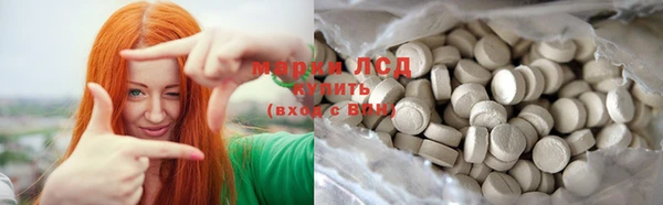 прущие грибы Михайловка