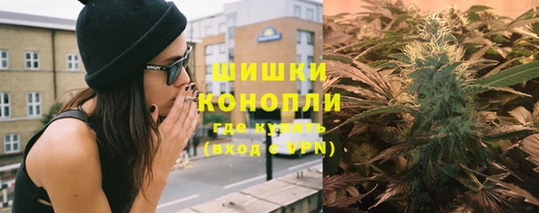 прущие грибы Михайловка