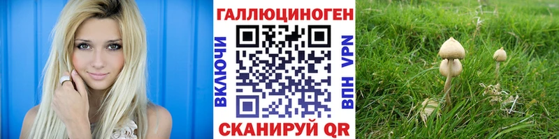 магазин продажи наркотиков  Никольск  Псилоцибиновые грибы GOLDEN TEACHER 